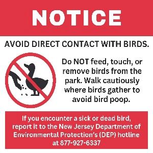 Bird Flu PSA resized