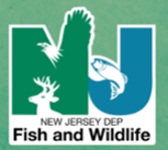 NJ Fish and Wildlife logo 2