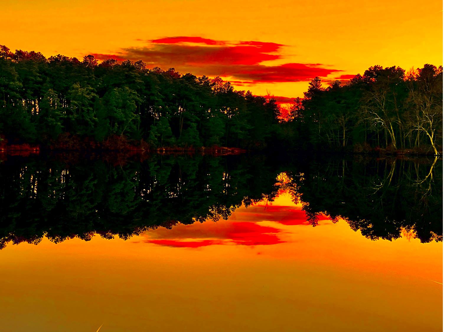 Gary Jones Rare Earth Series Landscape