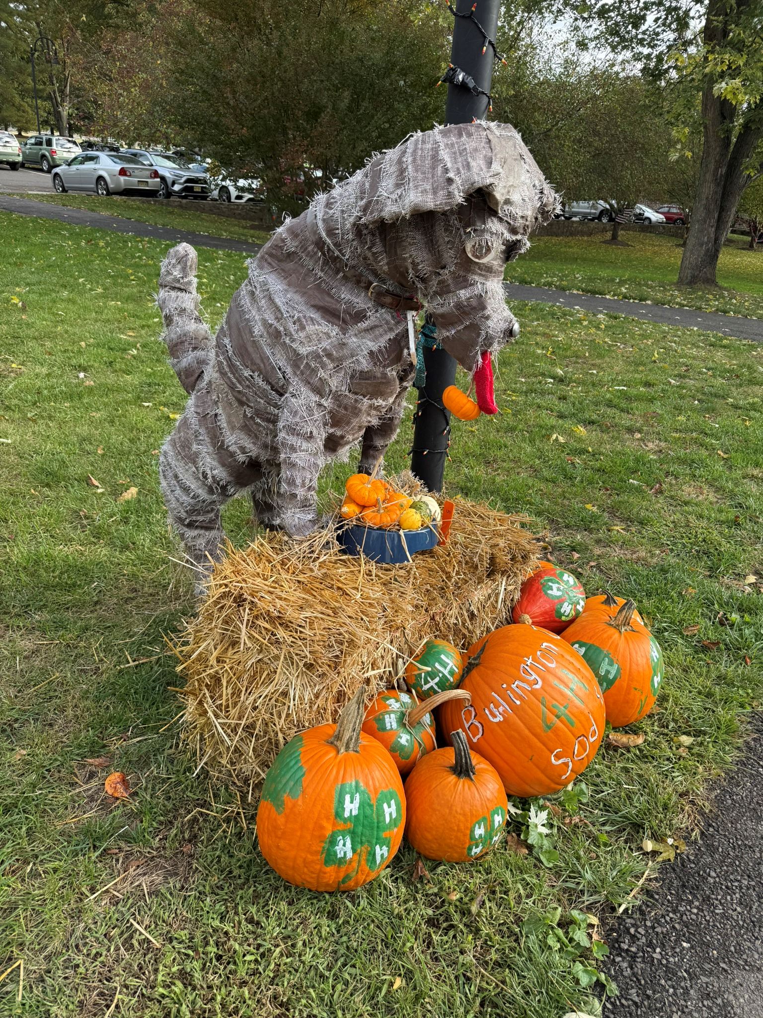 5- Pumpkin Patch Protector