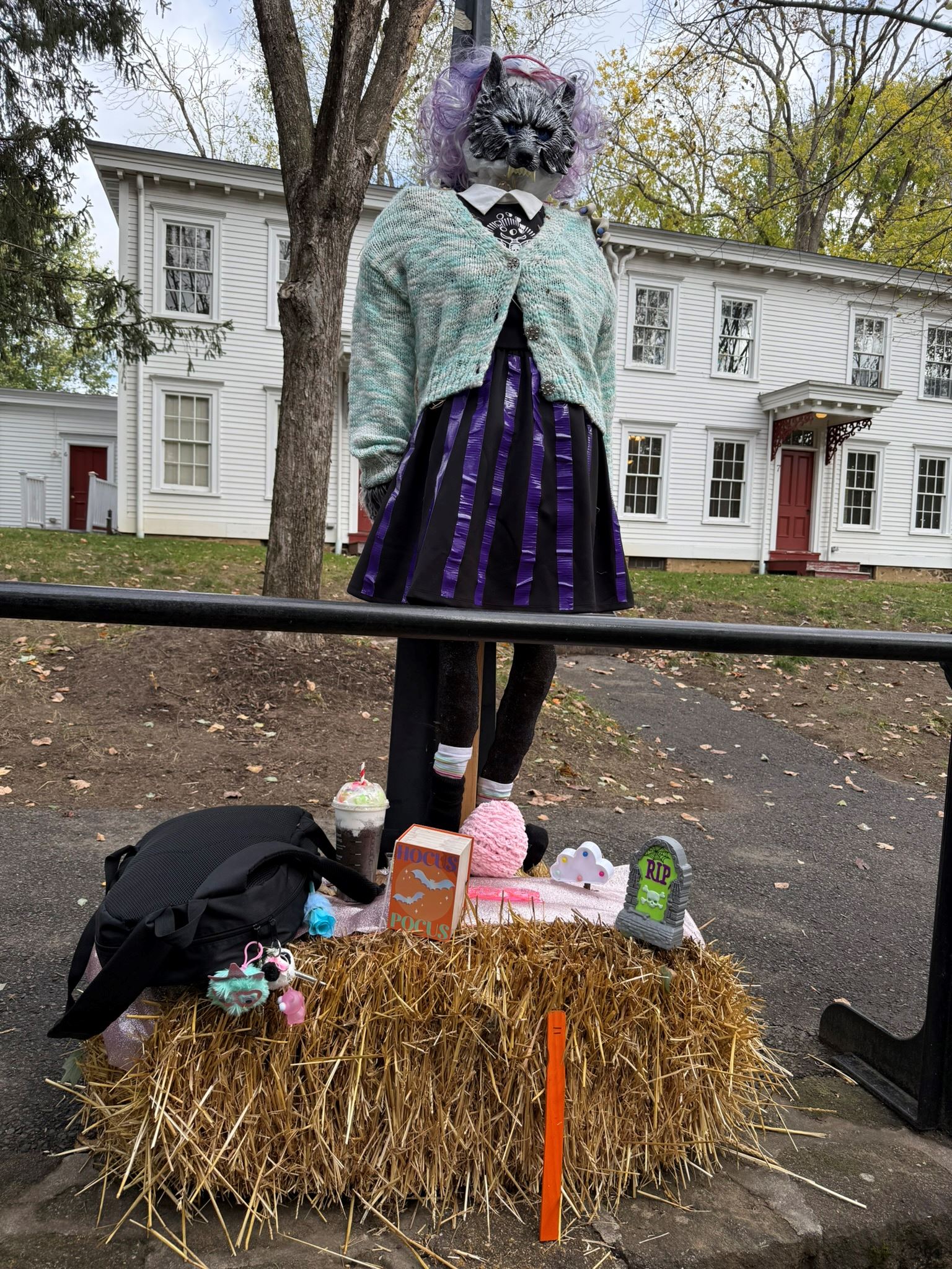 11- Friendship Barcelets and Fangs