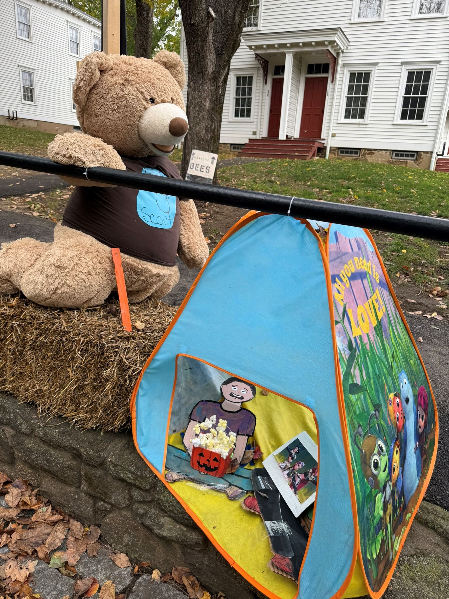 15- A Bear Scout Goes Camping