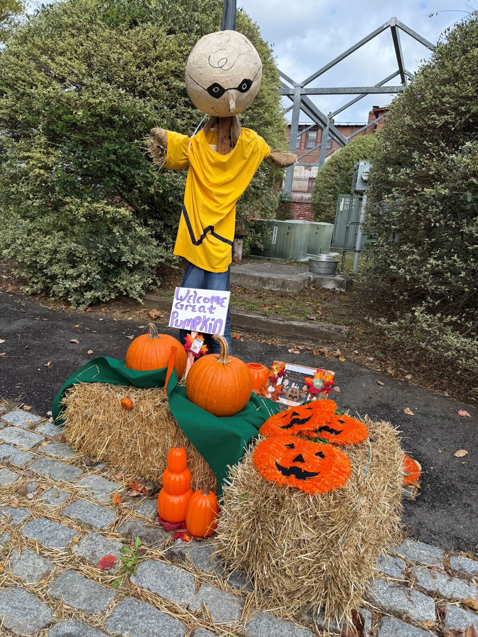 17- Spooky snoopy and it's the great pumpkin Charlie Brown 