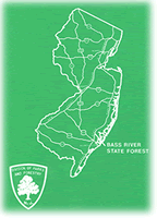 Bass River State Forest